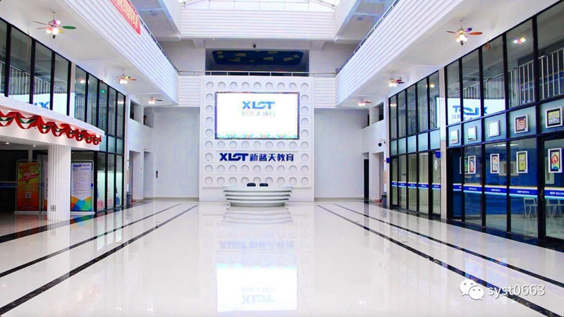 儿童世界里的社交魔法——培养未来的社交明星